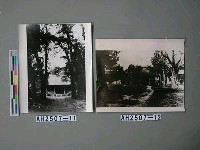藏品(萬古長春坊)的圖片